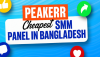 Peakerr - Cheapest SMM Panel in Bangladesh